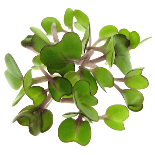 Ингредиент фото14